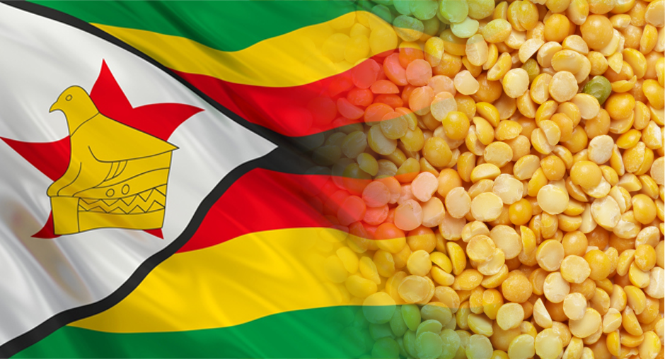 Более 350 тонн алтайского гороха проверили в лаборатории регионального филиала ЦОК АПК перед гуманитарной отправкой в Зимбабве.