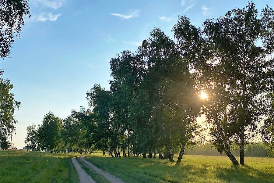 В Алтайском крае реализуется проект «Стимулирование спроса на отечественные БАС».