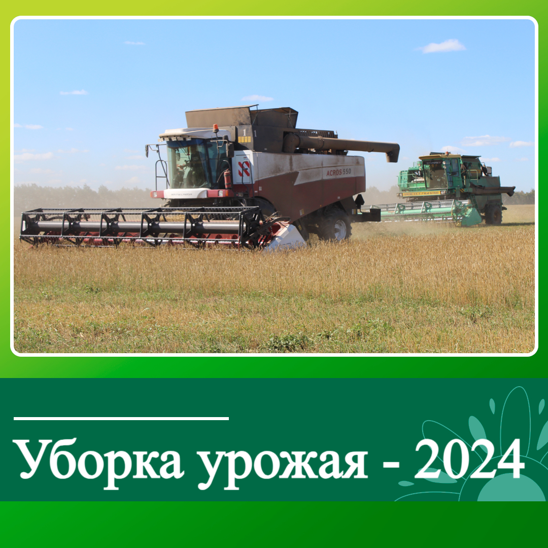 Уборочная 2024.